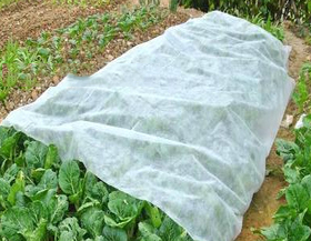 Lawn Nonwoven 9G