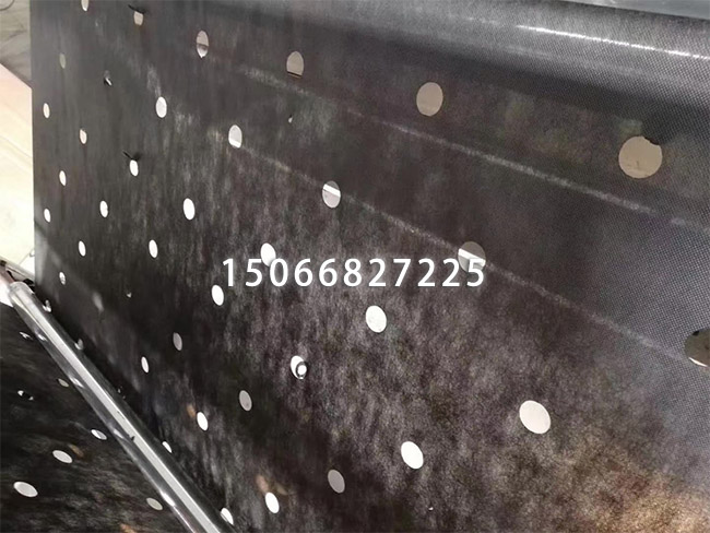 ޷Ĳ