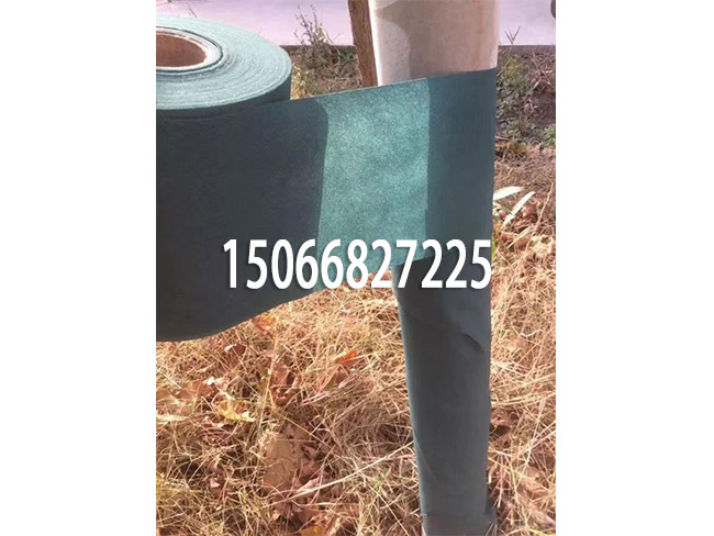 ޷Ĳ